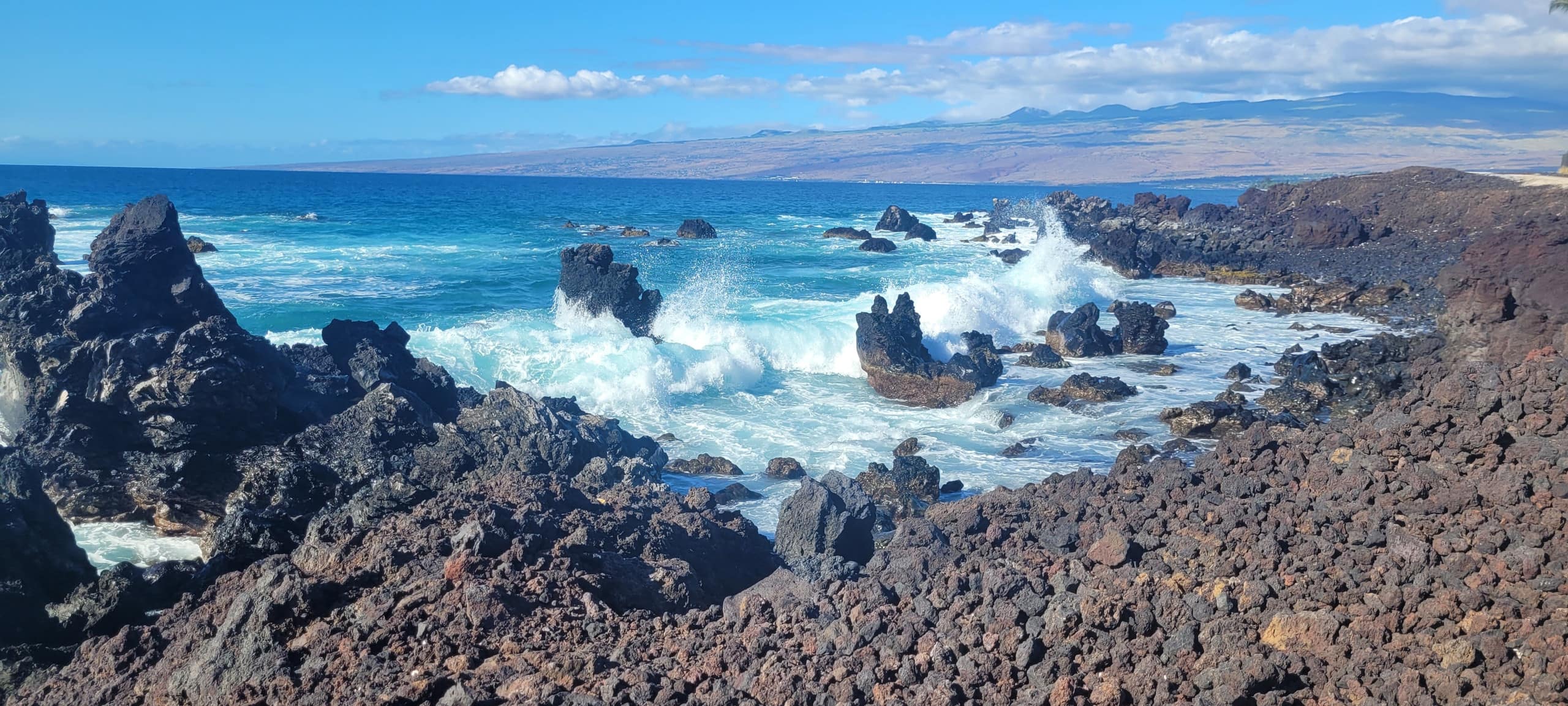 Home in Waimea · ★4.98 · 3 bedrooms · 4 beds · 3.5 baths - Image 86
