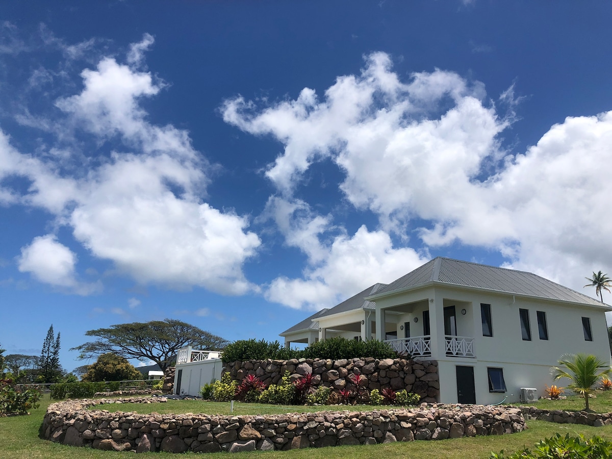 A modern two-story house is seen amidst lush greenery and colorful landscaping. The exterior features a light-coloured facade and a gray roof, while a stone wall circles the garden. A bright blue sky with scattered clouds provides a picturesque backdrop.