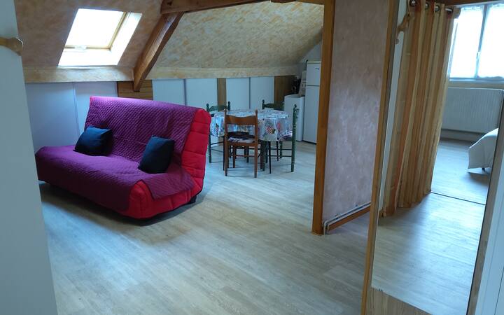 Appartement Au Coeur De L Auvergne - Bort-les-Orgues