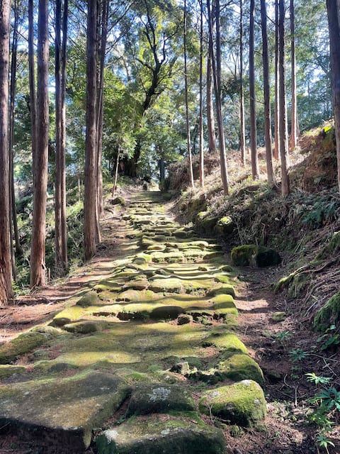 [Entire 4LDK] Hato Guest House/Along Kumano Kodo, 30-second walk to Atashika Beach/Kumano Renovation