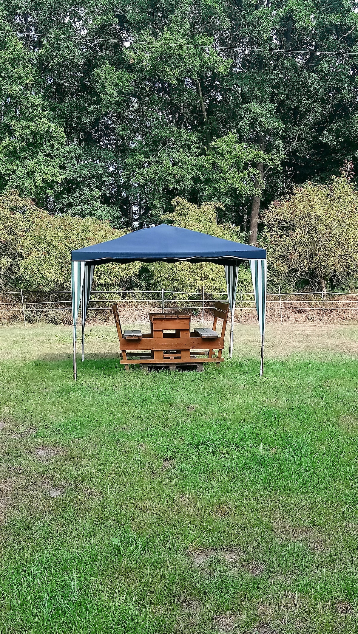 Successful Airbnb property: Parking space for bus, caravan etc. - no toilet/shower in Heidekreis
