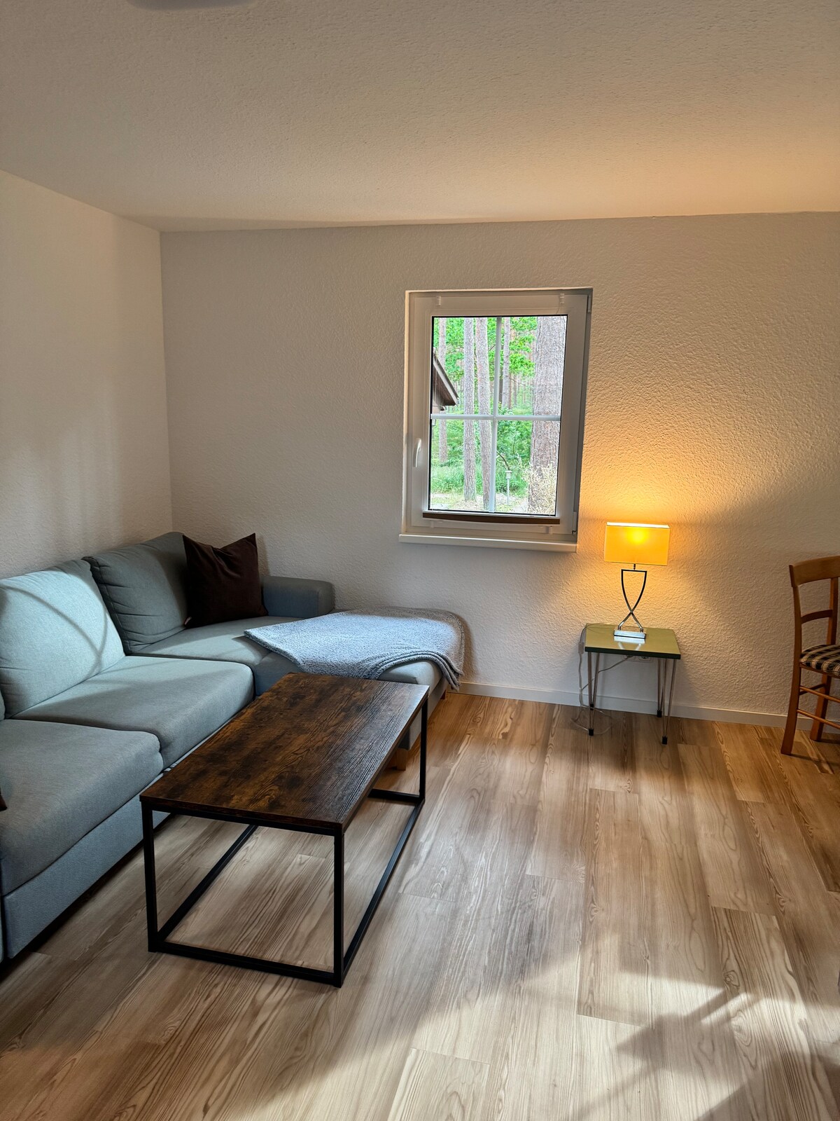 Top Airbnb: Bungalow in the pine forest directly on the Baltic Sea (b) in Karlshagen