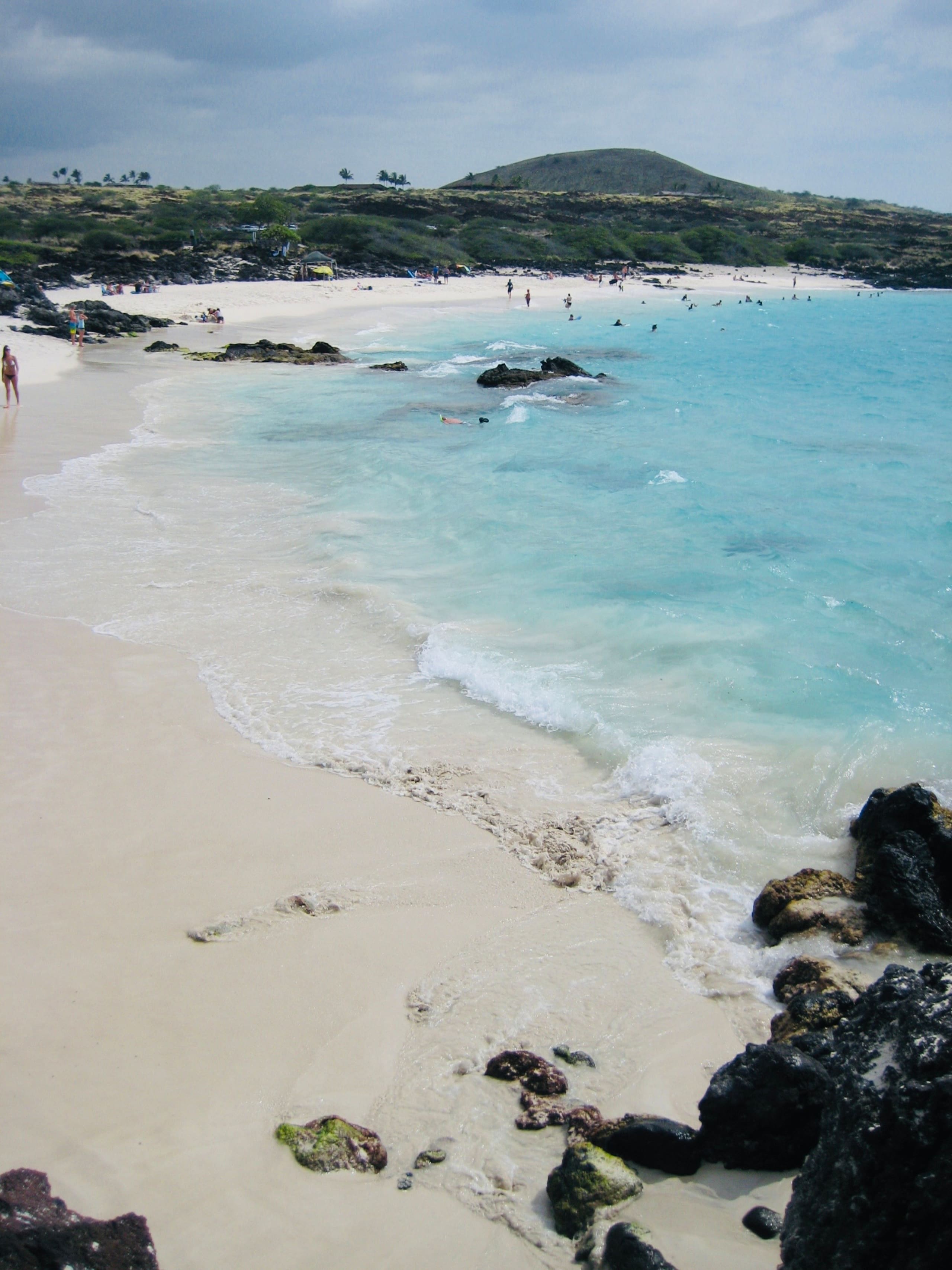 Condo in Kailua-Kona · ★4.91 · 1 bedroom · 1 bed · 1 bath - Image 27