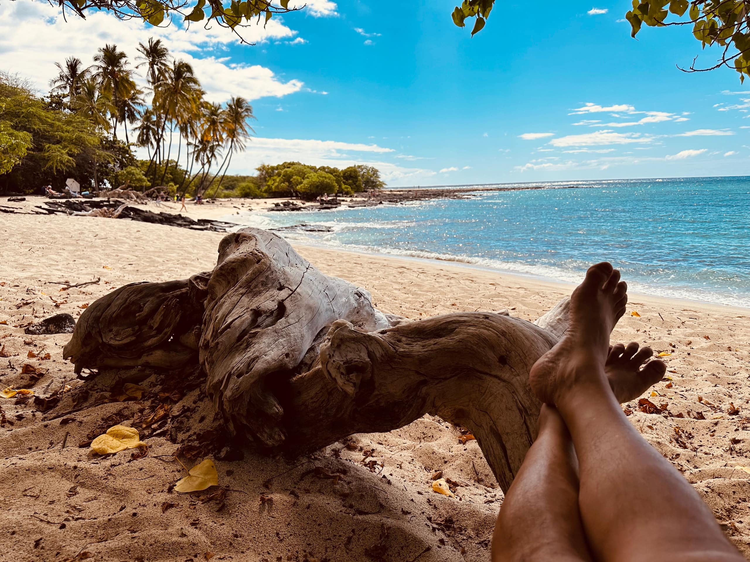 Condo in Kailua-Kona · ★4.91 · 1 bedroom · 1 bed · 1 bath - Image 28