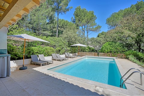 Large villa with pool near Avignon