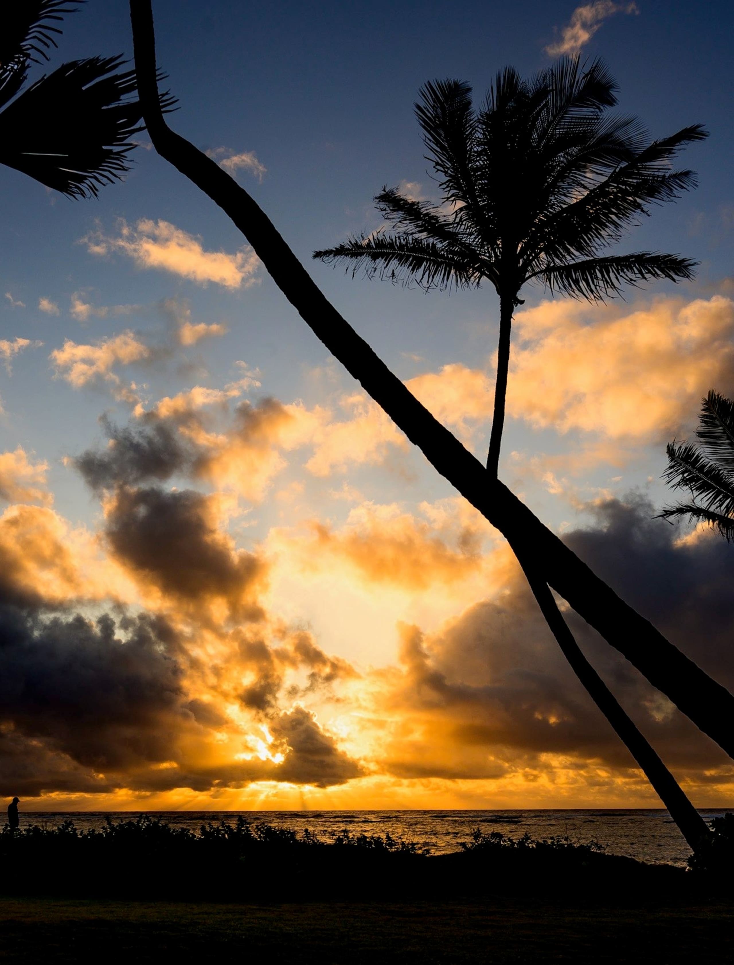 Condo in Kapaa · ★4.83 · 2 bedrooms · 2 beds · 1.5 private baths - Image 32