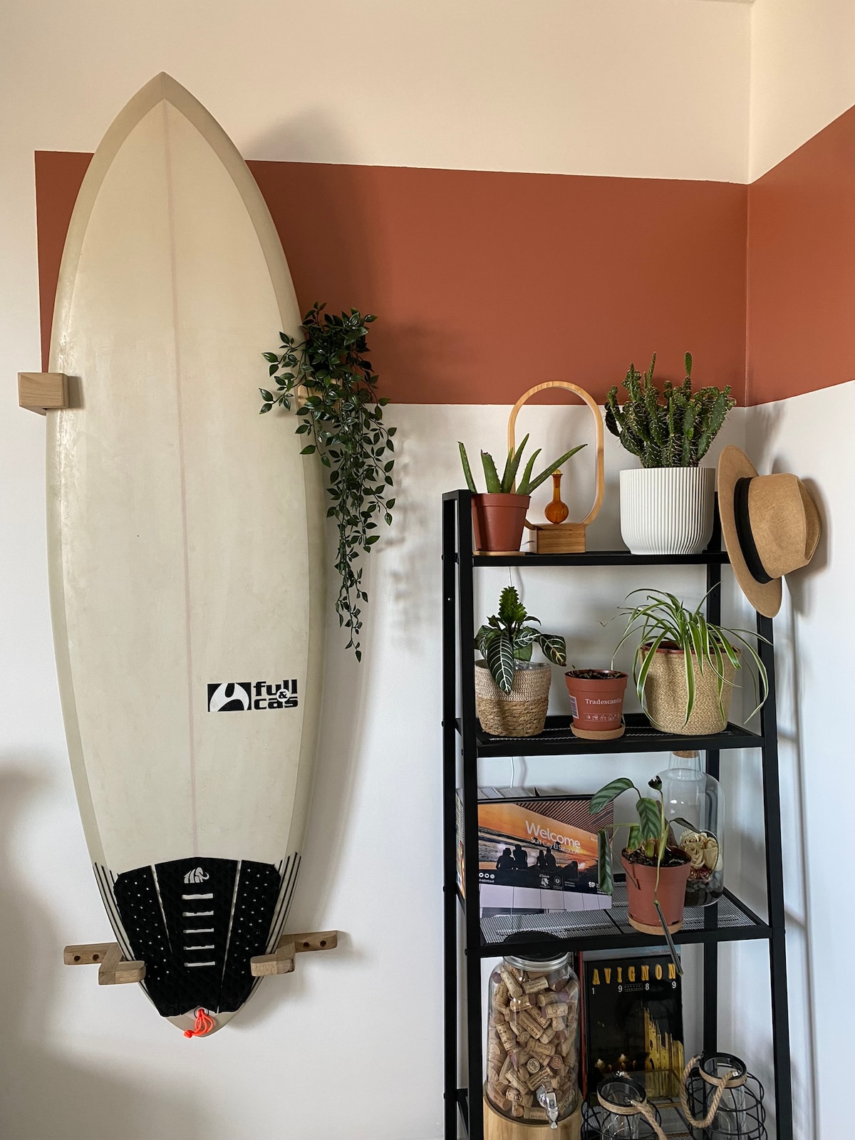 A surfboard is mounted on the wall, surrounded by decorative plants and modern shelving. The shelf displays various potted plants and books, with a hat hanging nearby. The wall is painted in two tones, creating a relaxed atmosphere.