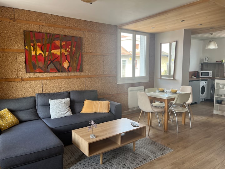 Grand Studio Aux Portes De Genève - Annemasse