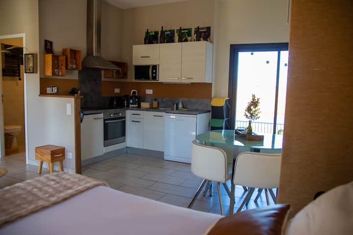 Les Petits Chais: Le Gite  3* Jaccuzzi Piscine - Gaillac