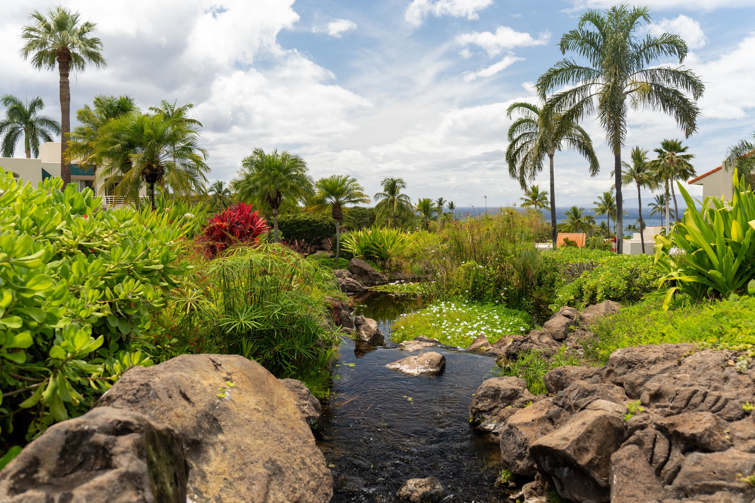 Condo in Kihei · ★4.94 · 1 bedroom · 2 beds · 2 baths - Image 42