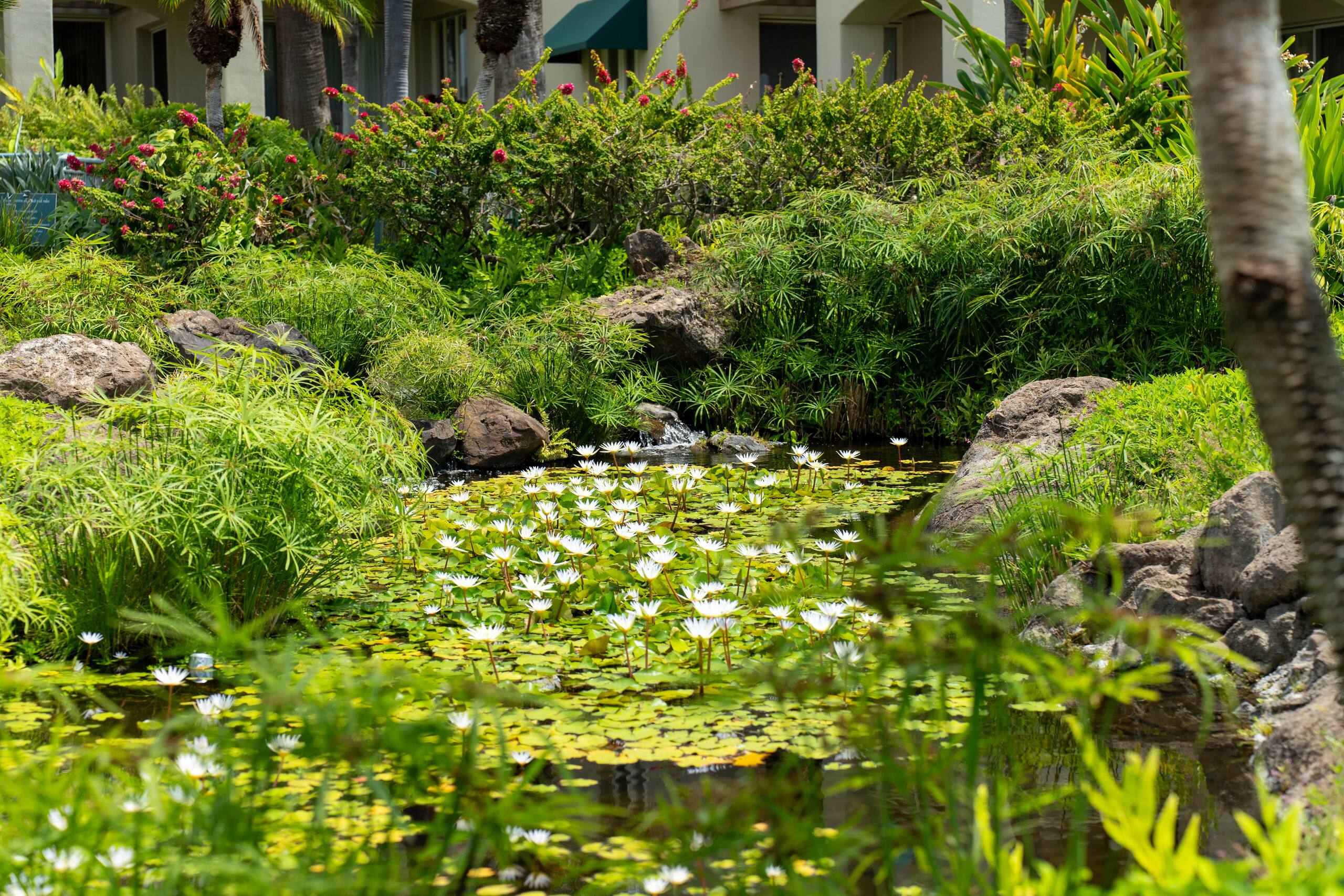 Condo in Kihei · ★4.94 · 1 bedroom · 2 beds · 2 baths - Image 44