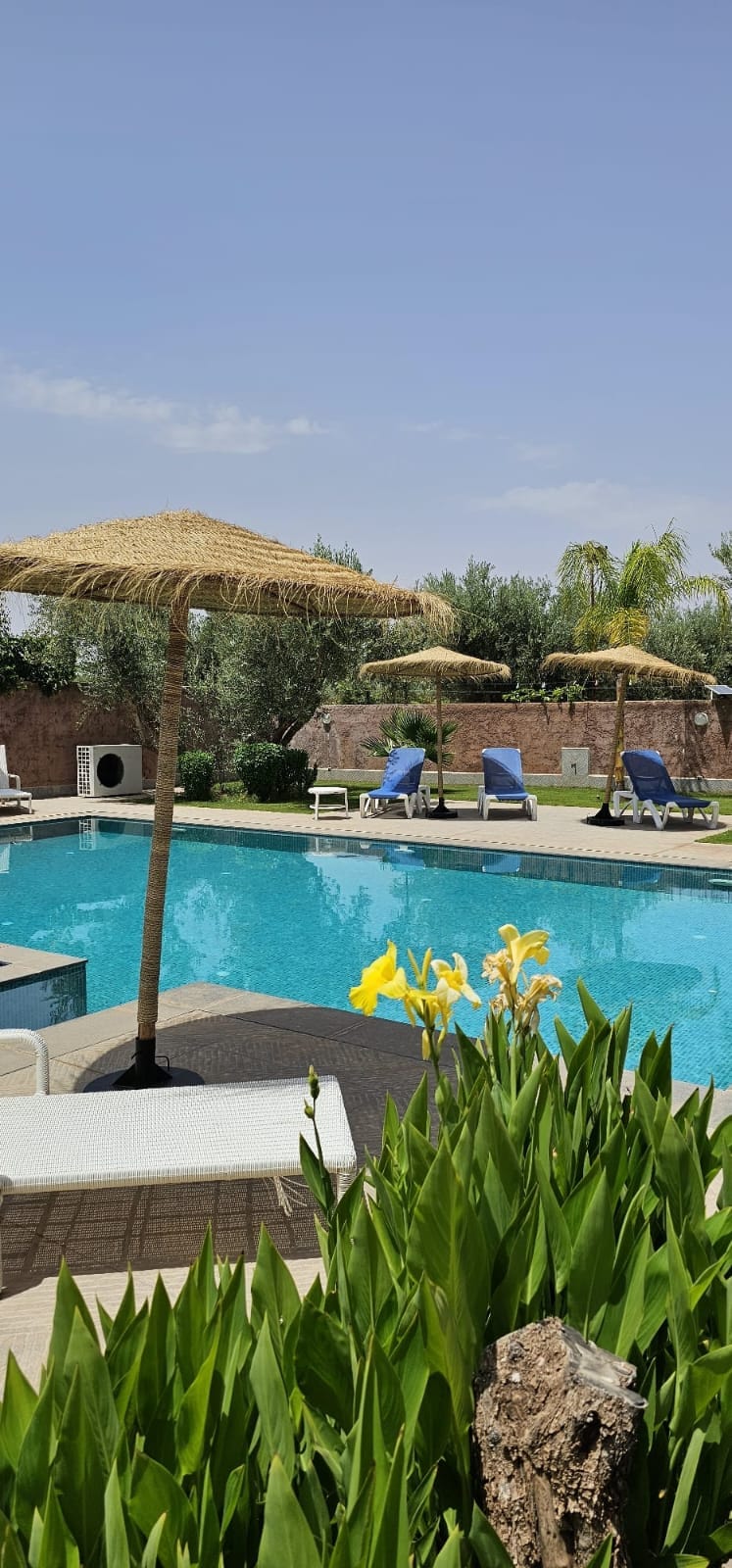 A private pool area features clear turquoise water surrounded by lounge chairs and sun umbrellas. Lush green plants and bright yellow flowers enhance the outdoor setting. The serene landscape includes distant trees and a peaceful atmosphere suitable for relaxation.