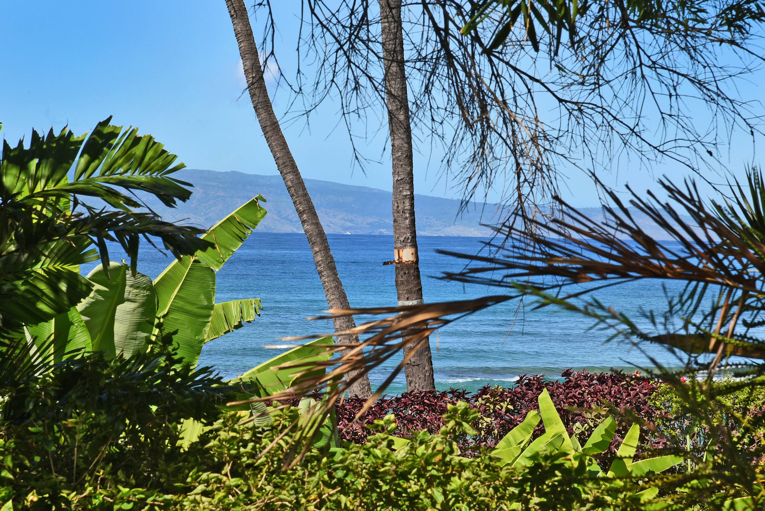 Condo in Lahaina · ★4.73 · 1 bedroom · 2 beds · 1 private bath - Image 34