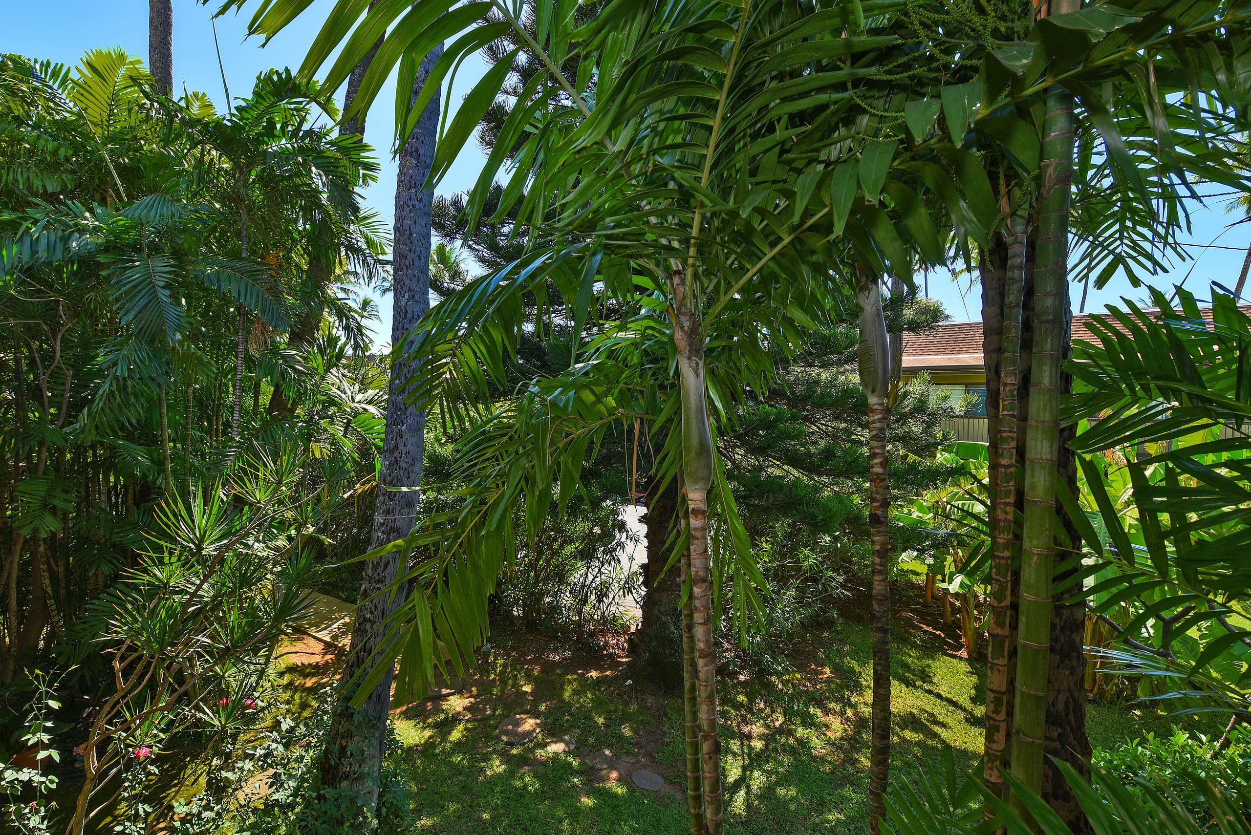 Condo in Lahaina · ★4.73 · 1 bedroom · 2 beds · 1 private bath - Image 35