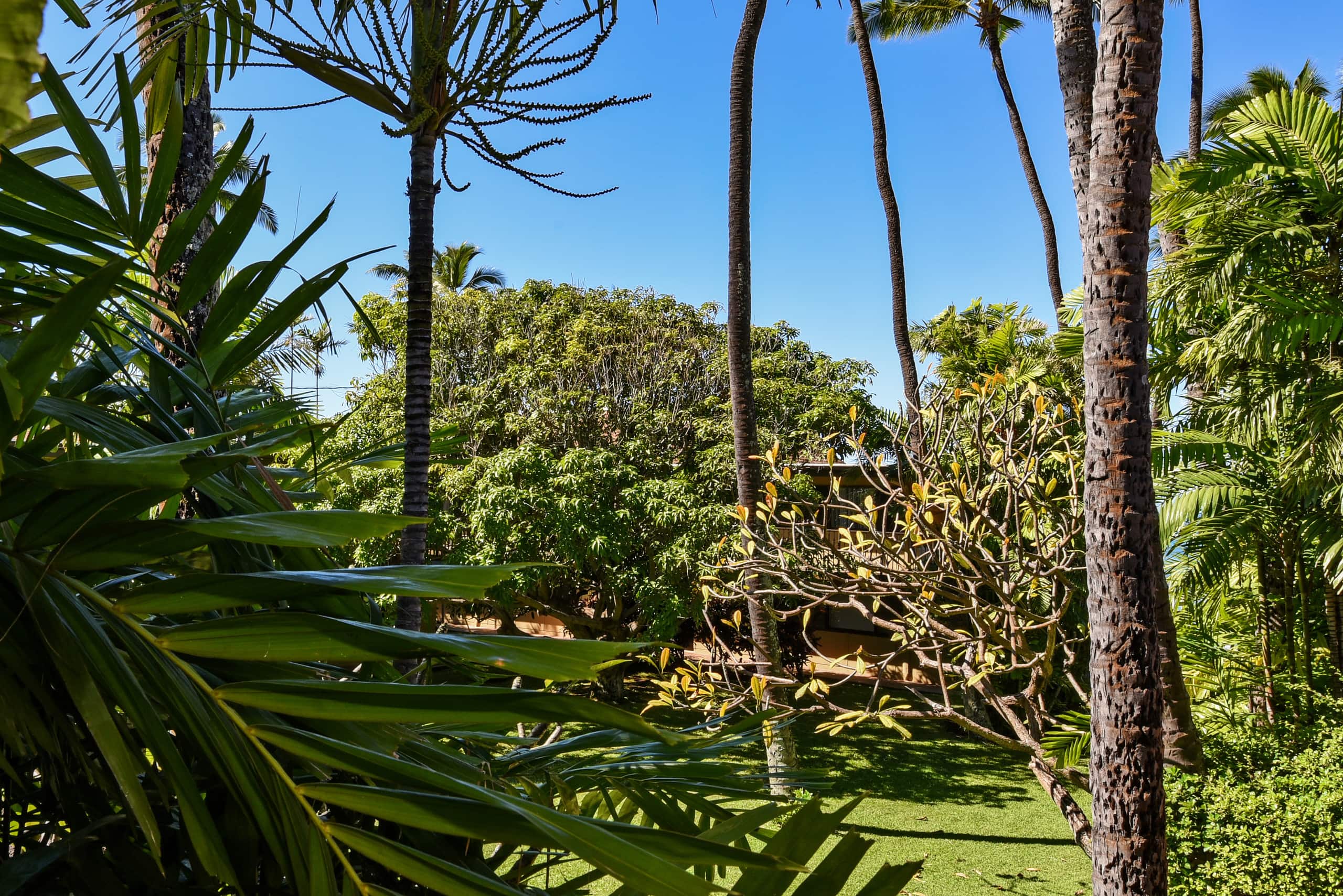 Condo in Lahaina · ★4.73 · 1 bedroom · 2 beds · 1 private bath - Image 36