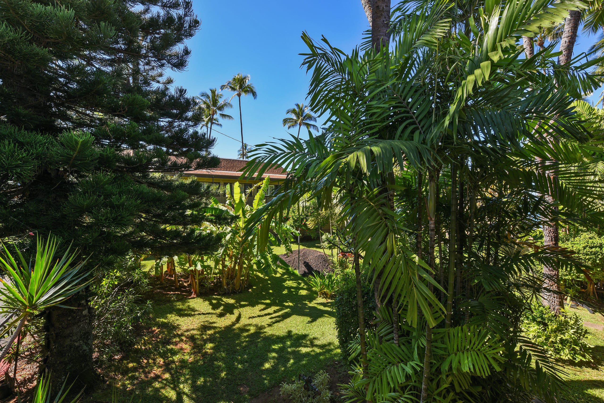 Condo in Lahaina · ★4.73 · 1 bedroom · 2 beds · 1 private bath - Image 37