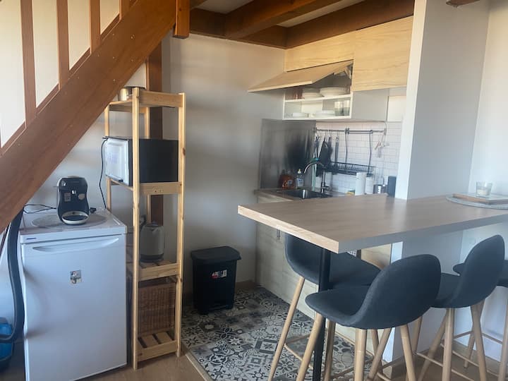 Superbe Appartement Au Penon Avec Vue Sur L'océan - Seignosse