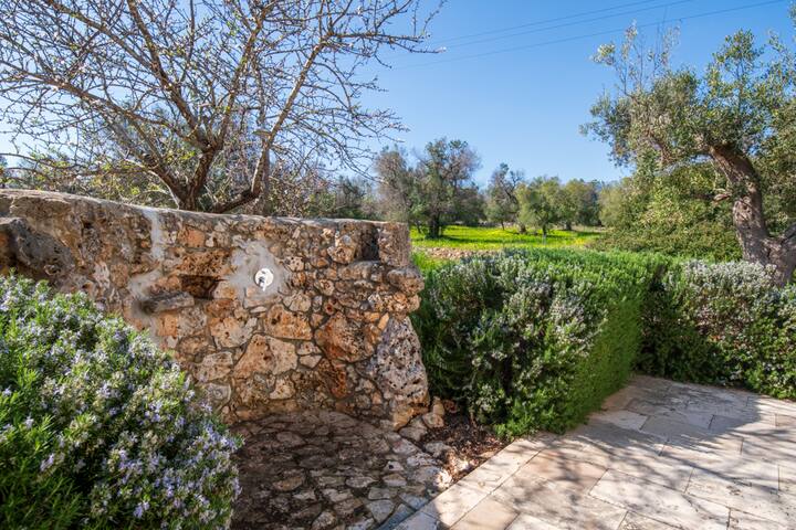 Villa Rosmarino gallery image 4