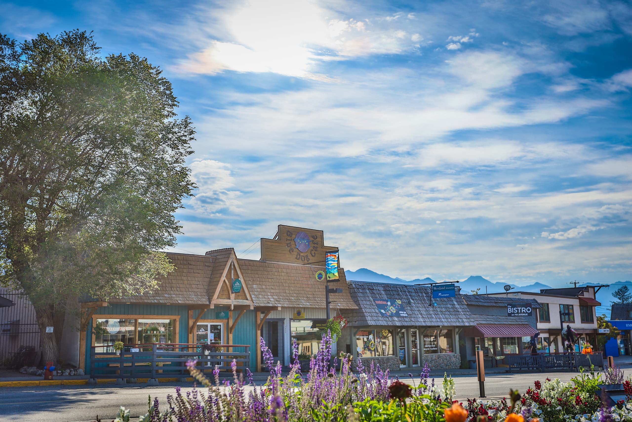 Mountain Haven in Downtown Invermere - Photo 7