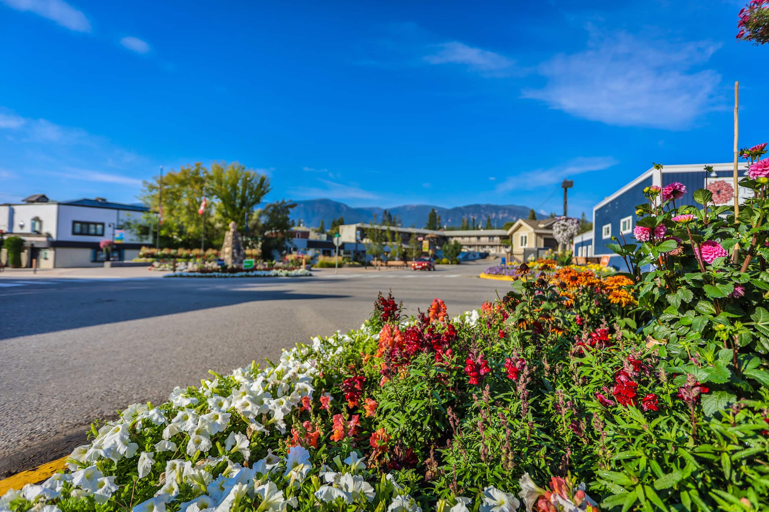 Mountain Haven in Downtown Invermere - Photo 9