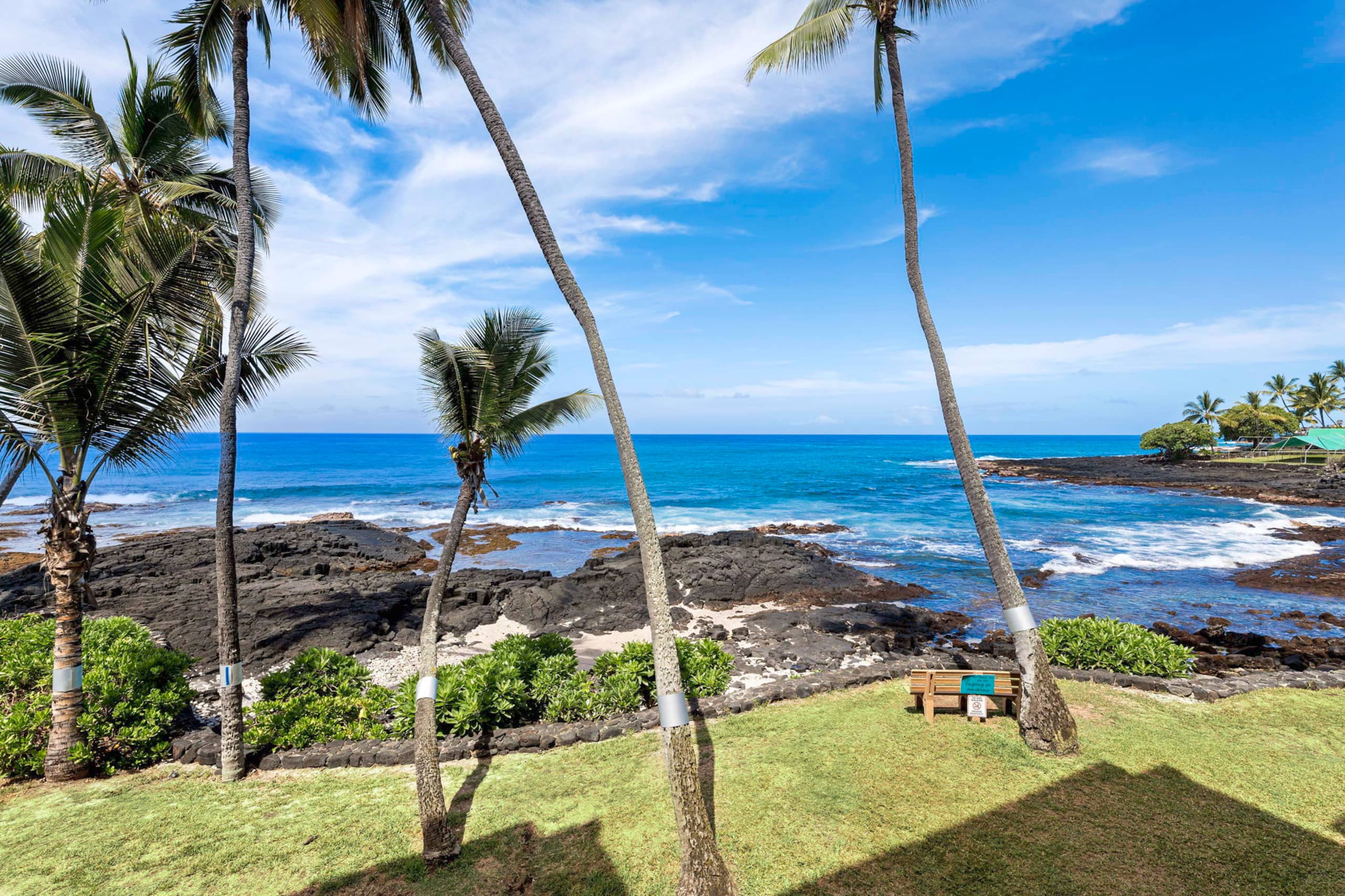 Beautiful Oceanfront 2 Bdrm/2 Bath with A/C #222 - Image 42