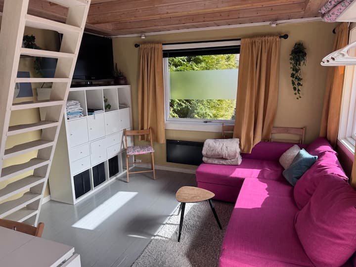 Very Cozy House, Rural But Still Central! A Gem! - Oslo