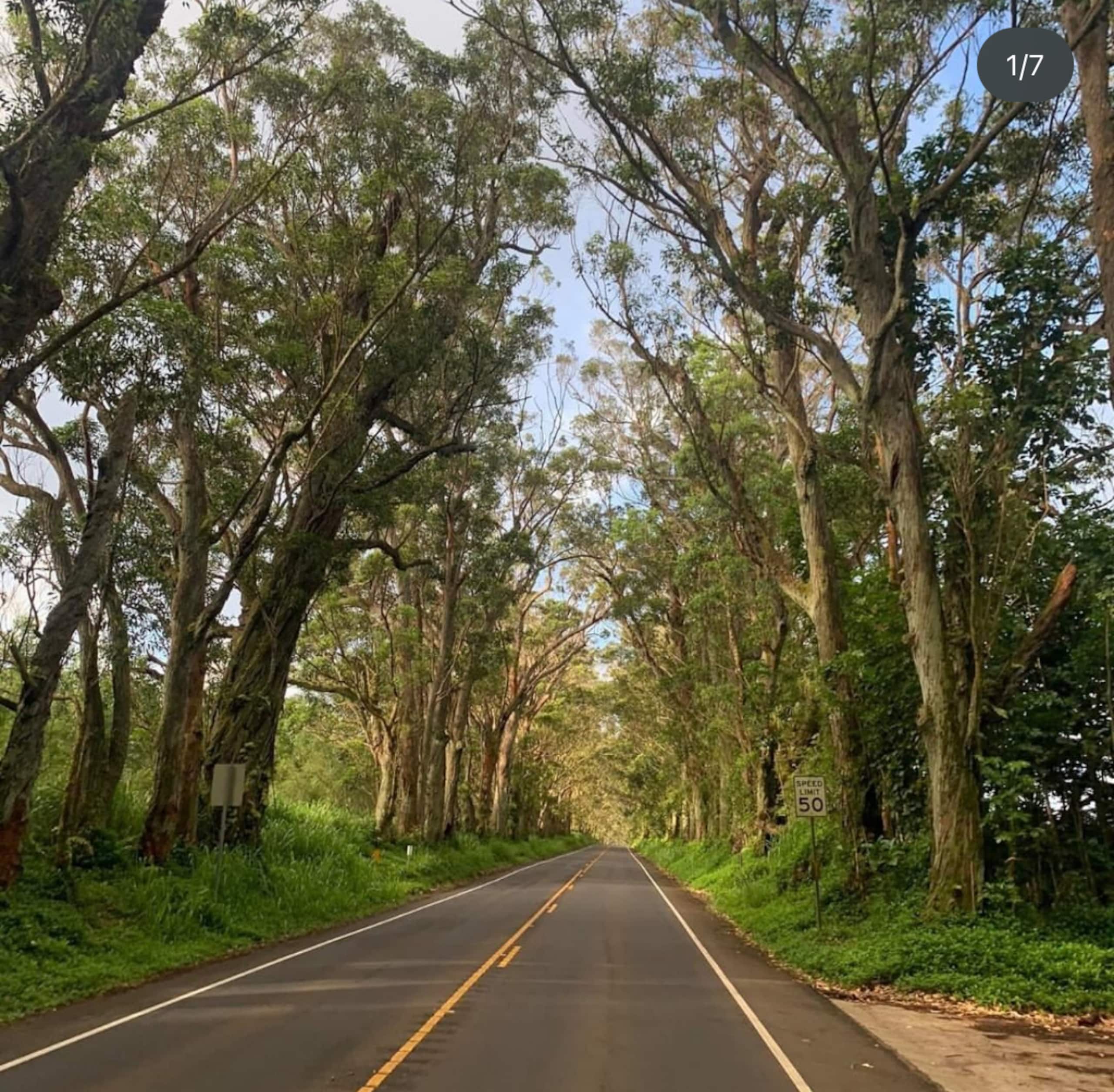 Home in Koloa · ★4.98 · 4 bedrooms · 5 beds · 4 baths - Image 46