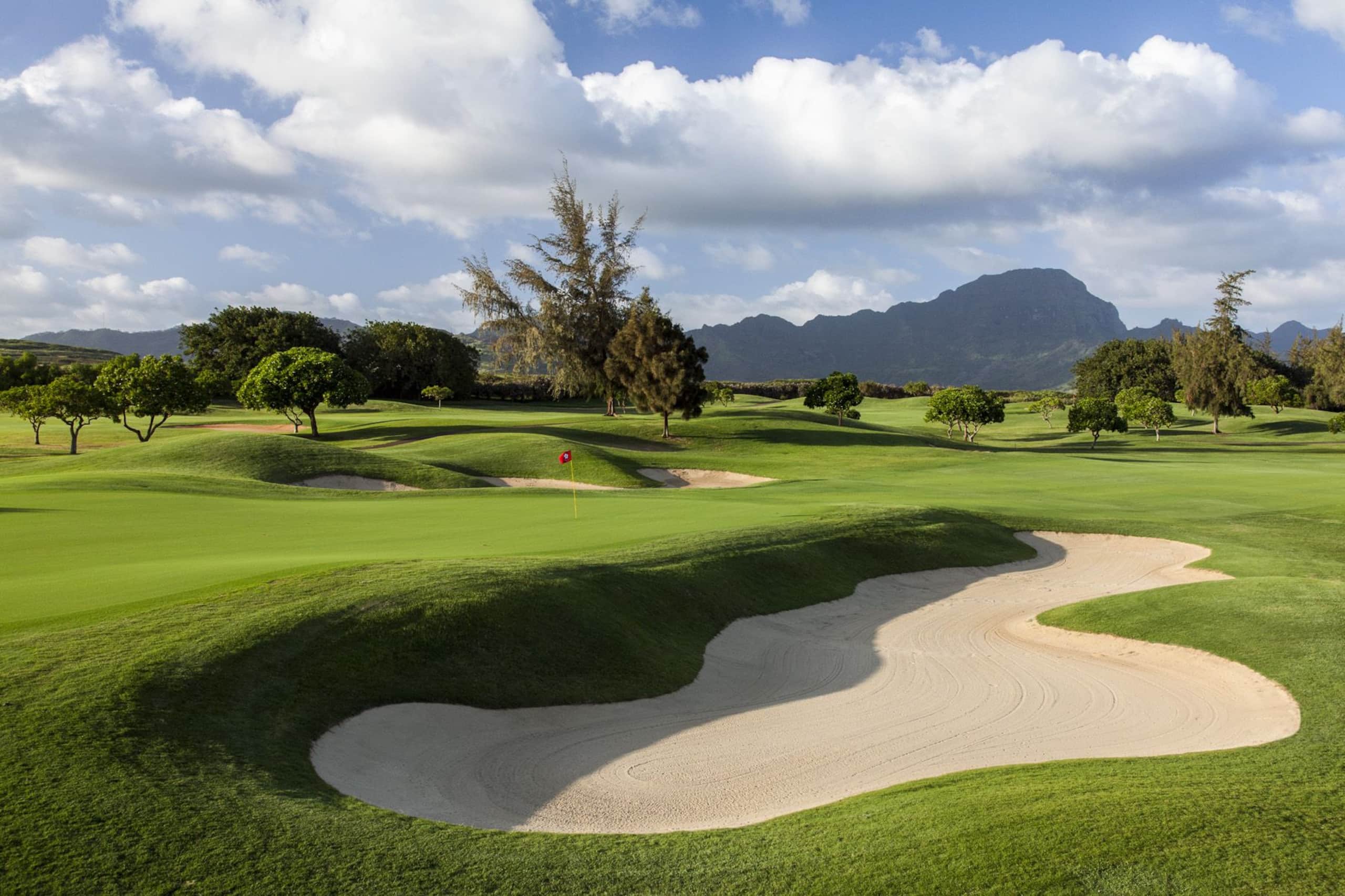 Home in Koloa · ★4.98 · 4 bedrooms · 5 beds · 4 baths - Image 49