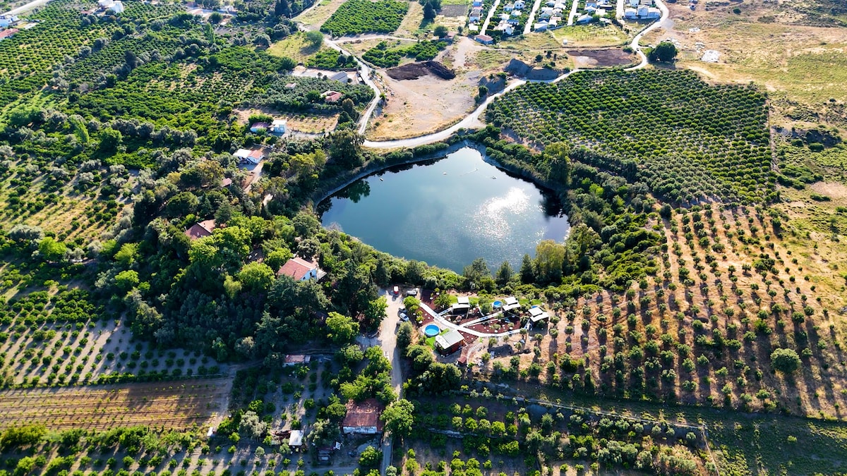 An aerial view captures a serene landscape featuring a central lake surrounded by vibrant greenery and fruit trees. The property is nestled within this natural setting, showcasing a combination of cultivated land and open spaces, enhancing the tranquil atmosphere.