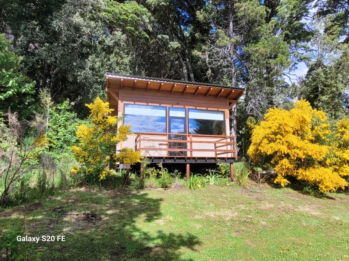 A charming studio cabin is surrounded by lush greenery and vibrant yellow flowers. Large windows offer a view of the natural landscape, while a wooden deck extends from the entrance, providing a welcoming outdoor space. The structure is nestled among tall trees.
