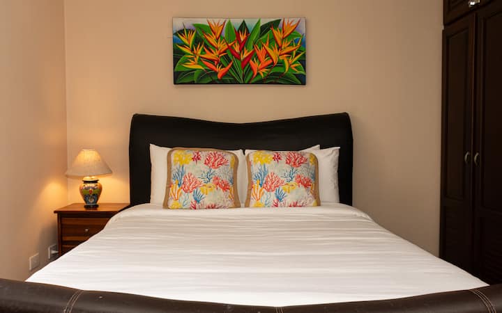 Dormitorio principal con baño privado adjunto, ventilador de techo, wifi, aire acondicionado, armario de ropa, sábanas, almohadas, toallas, manta incluida