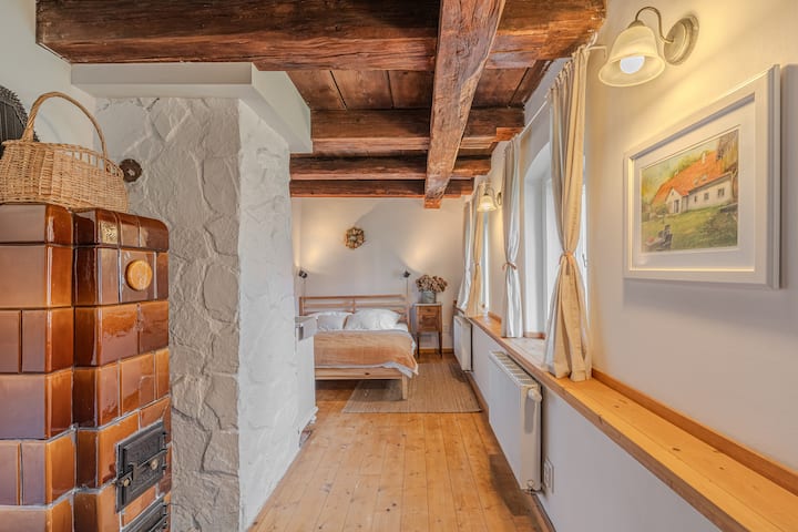 一楼有一间明亮宽敞的卧室，配有一张160x200厘米的舒适双人床和时尚的木质天花板，为房间增添了温馨舒适的感觉。