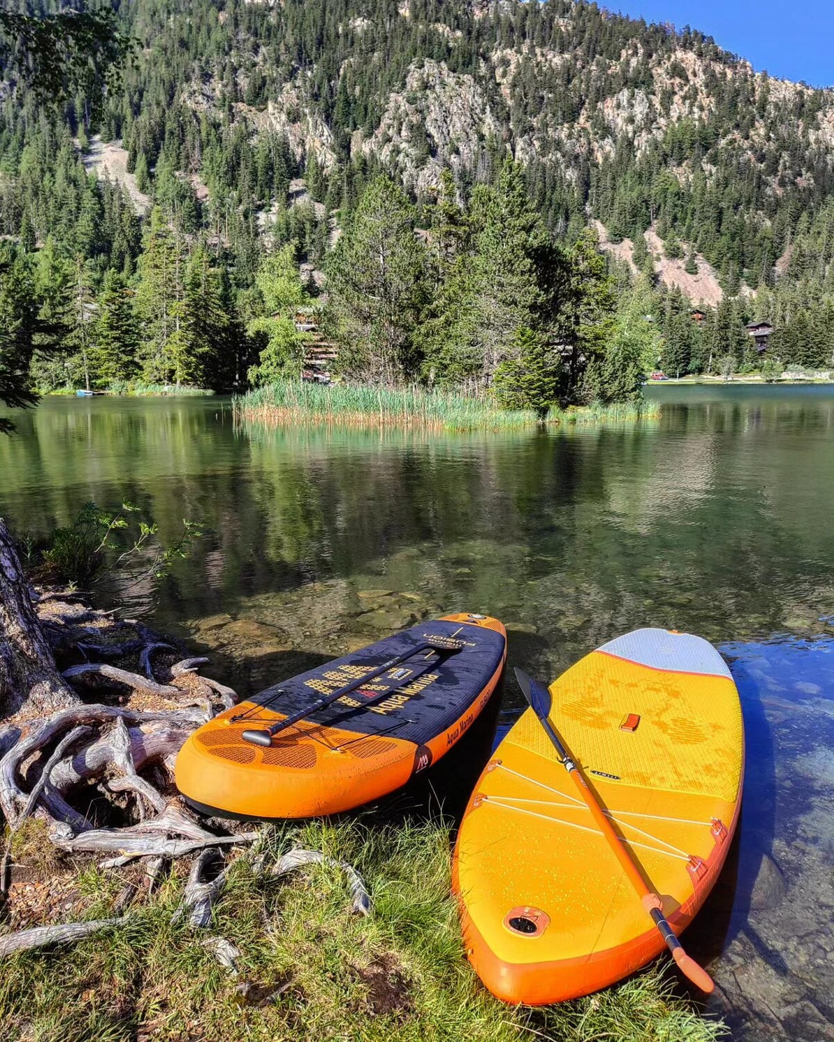 Two stand-up paddleboards in bright orange are positioned at the water's edge, partially submerged in clear water. Lush green trees surround the tranquil lake, while a sandy patch leads to the shoreline. Reflections of the trees are visible in the calm water.