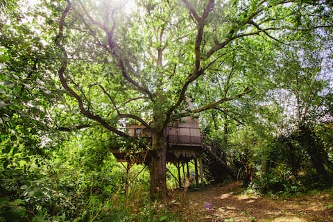 Unique Treehouse & Private Lake in Gironde