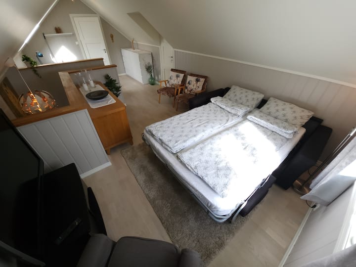 Kitanda cha sofa mbili katika sebule ya ghorofa ya 2. Chumba cha kulala kwenye mandharinyuma.