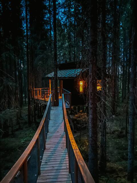 Treetop cottage with hanging bridge at Ekne