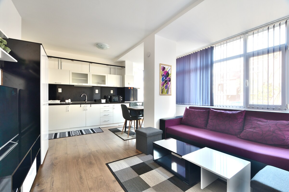 An open-plan living area features a modern kitchen with sleek cabinetry, a dining table, and a cozy seating arrangement. Walls adorned with large windows allow natural light to enhance the space, complemented by a textured rug. A flat-screen TV is positioned in the corner.