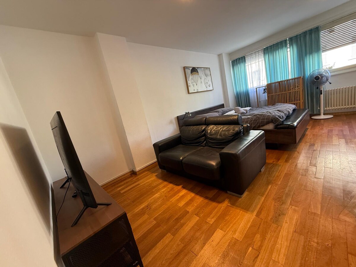 Top Airbnb: 00 Gare Cornavin Studio in Grottes Et Saint Gervais