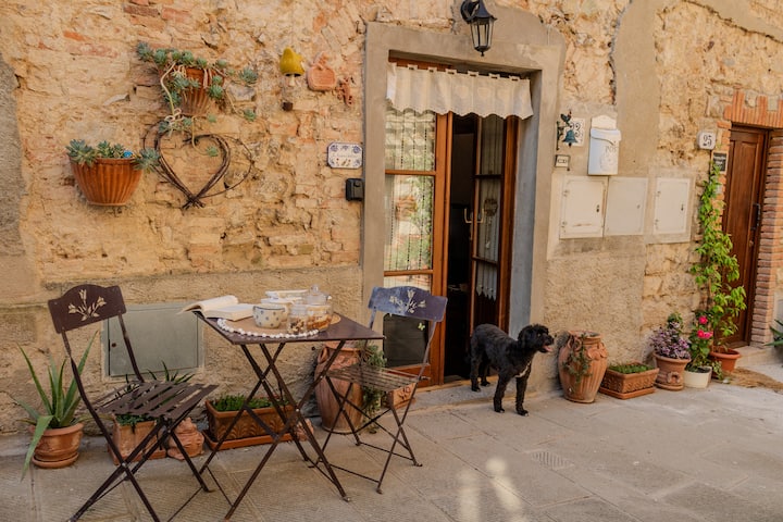 Casa Vacanze
 Le Rose E I Violini 
Canneto Toscana - Bolgheri