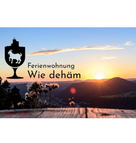 City apartment "like home" in the middle of the Palatinate Forest