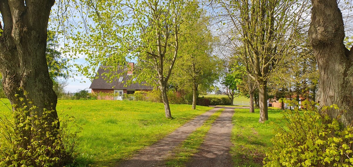 A gravel driveway is framed by lush green trees, leading towards a rustic farmhouse surrounded by vibrant greenery. The landscape features yellow wildflowers in bloom, with a well-maintained yard visible in the distance, creating a serene and inviting approach to the property.