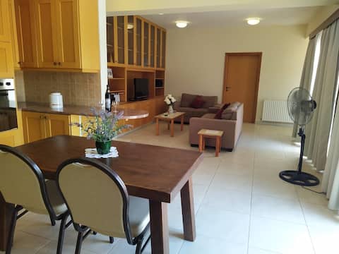 Penthouse Apartment in Nicosia