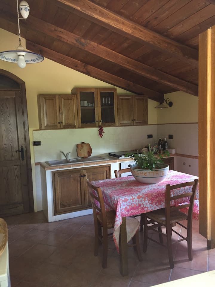 Ancient House In A Green Oasis - Cilento