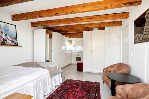 Charming and fresh studio with large balcony