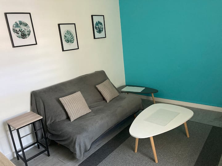 Charmant T2 à 30 Mètres De La Plage Du Sillon - Saint-Malo