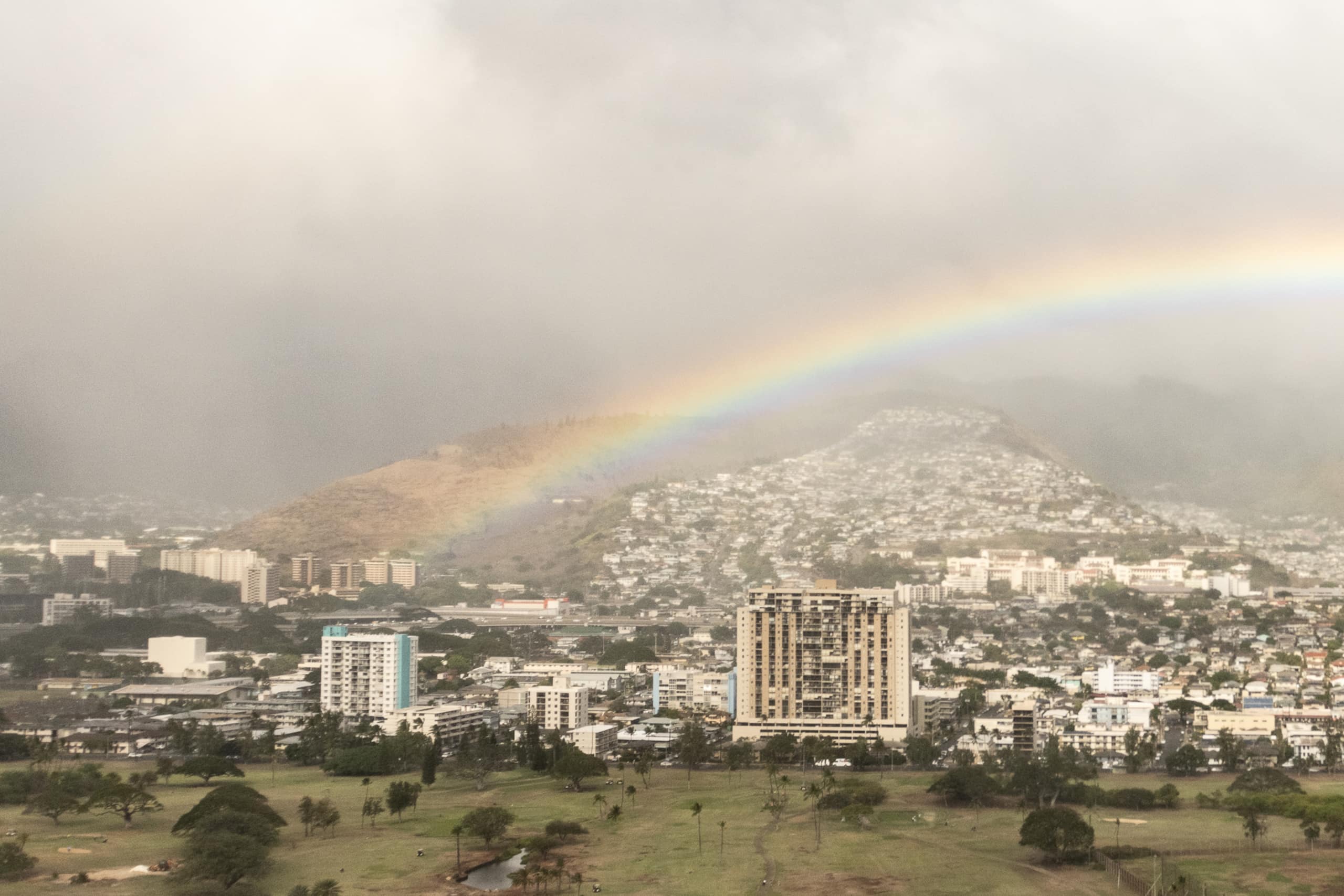 Condo in Honolulu · ★4.98 · 1 bedroom · 1 bed · 1 private bath - Image 5