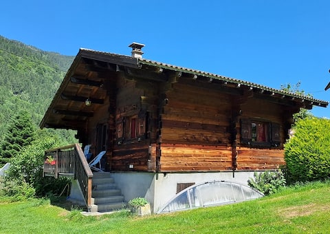 mountain chalet-pool-sauna-norwegian bath