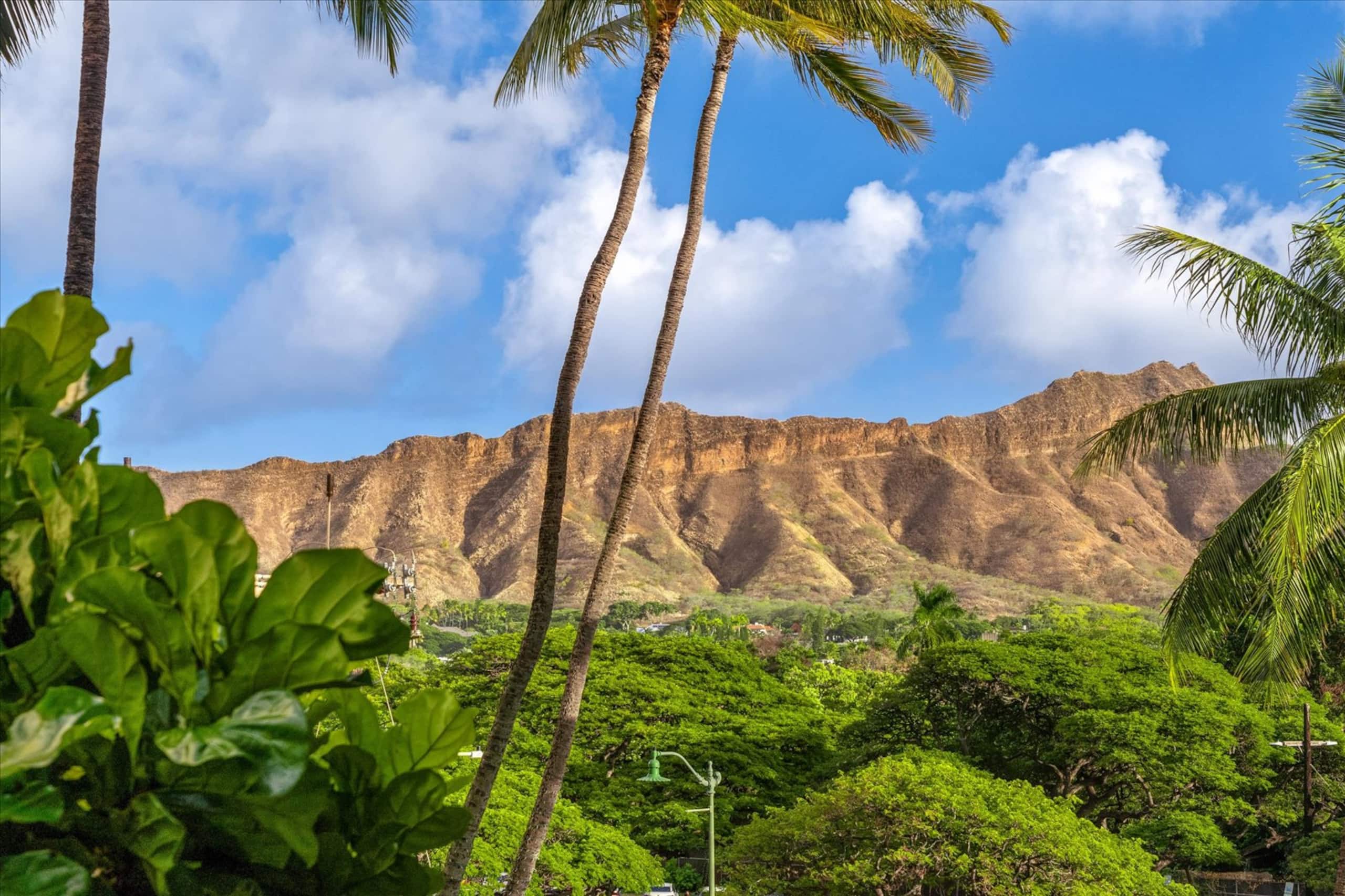 Waikiki Hideout - Image 20