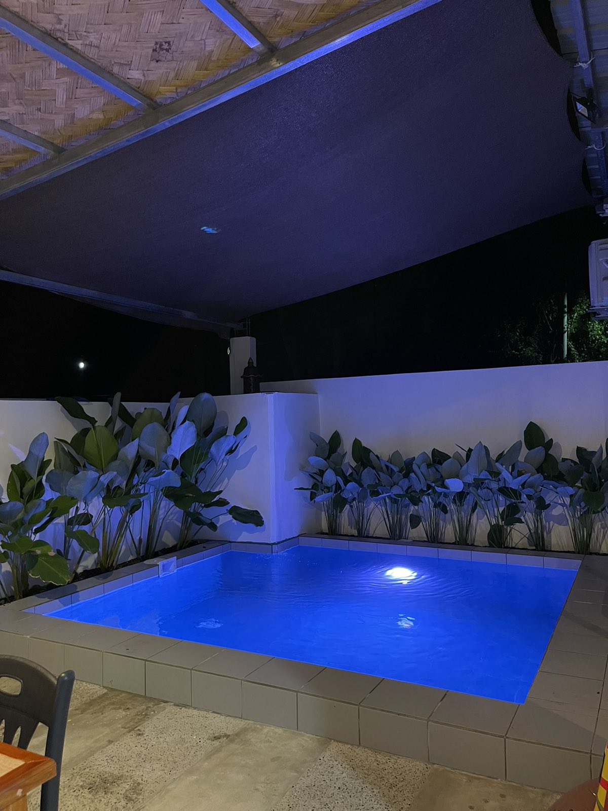 A private pool is illuminated in soft blue light, surrounded by lush green plants. A shaded area above provides protection from the elements, while the pool's clean lines and calming water create a serene spot for relaxation.