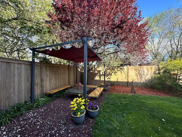 Historical 1916 Craftsman Family Home in Madrona gallery image 5